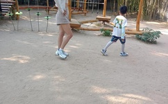 陈天龙纪秋水全文免费阅读更新